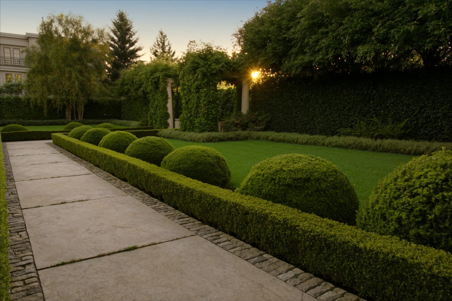 Shaped hedges in golden light, the line Curb Appeal cuts hedges to